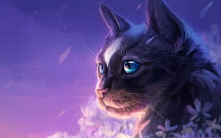 Картинка by AlaxendrA, цветы, кошка, небо