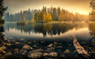 Картинка лес, утро, камни, камыши, отражение, озеро, деревья, рассвет, Tranquil Morning, вода, Lauri Lohi, осень, туман