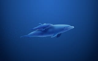 Картинка дельфин, синий, пузыри