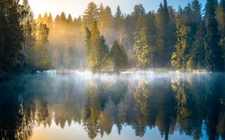 Картинка лес, туман, Финляндия, озеро, деревья, осень, рассвет, отражение, утро