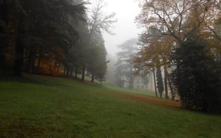 Картинка деревья, природа, Trees, Туман, Fog, Autumn, Деревья, Осень