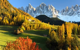Картинка Лес, Природа, Dolomites, Пейзаж, Горы, Луг, Val Gardena, Осень, Италия, Альпы