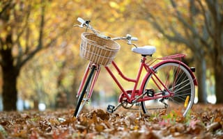 Обои улица, листья, велосипед
