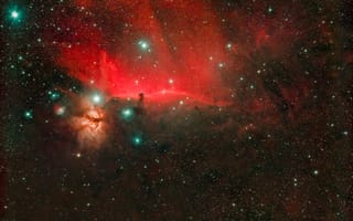 Картинка Конская Голова, космос, Туманность Факел, NGC 2024