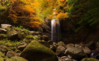 Картинка осень, лес, желтый, скалы, камни, листья, деревья, водопад