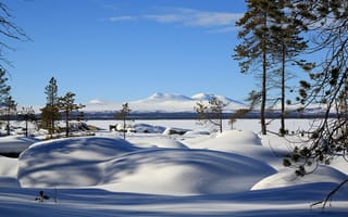 Картинка зима, снег, Femund, Norway, Норвегия