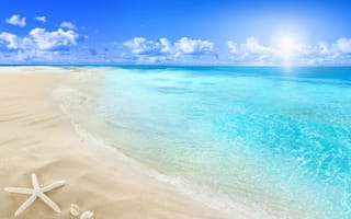 Картинка beach, sea, sun, seashell, starfish, sand