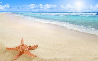 Картинка starfish, beach, sand, sea, sun