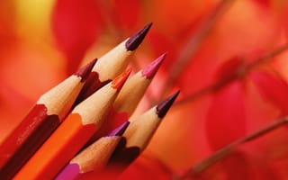 Обои макро, цветные карандаши, карандаши