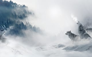Картинка лес, туман, добыча, хищники, снег, стая, охота, деревья, олень, холод, волки, зима, арт
