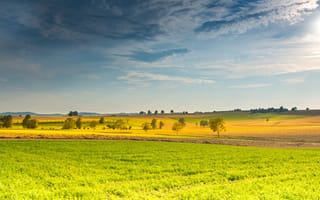 Картинка поле, небо, облака, простор, солнце, деревья, панорама
