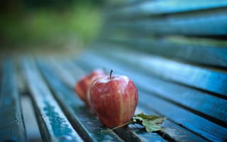 Картинка лист, лавка, осень, макро, яблоки