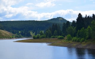 Картинка лес, небо, деревья, река, берег, пейзаж, облака