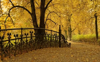Обои деревья, парк, листья, осень