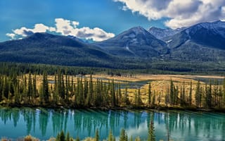 Картинка Bow River, горы, деревья, долина, Альберта, Alberta, Canada, Канада, река Боу