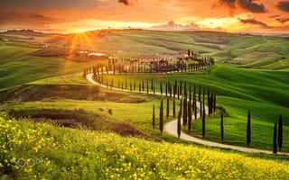 Картинка солнце, диревья, долина, Тоскана, Италия