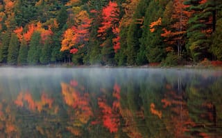 Картинка отражение, река, природа, осень, лес, туман