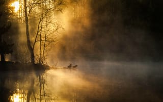 Картинка утро, река, деревья, птицы, лес, туман, рассвет