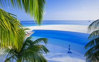 Картинка море, мальдивы, белый песок, пальмы, бассейн, остров