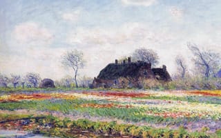 Картинка пейзаж, Клод Моне, Поля тюльпанов в Сассенхейме близ Лейдена, картина, цветы