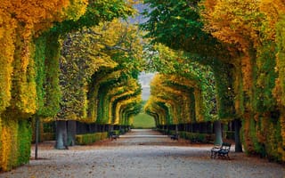 Картинка осень, скамья, Вена, Шёнбрунн, Австрия, деревья, парк, сад