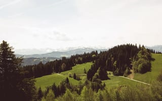 Картинка дорога, зелень, лес, горы, деревья, лето, склон, трава