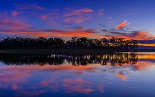 Картинка деревья, закат, Joyner, Квинсленд, Lake Samsonvale, Queensland, Австралия, озеро, отражение, Australia