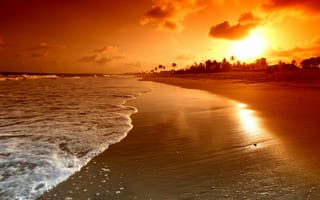 Картинка sunrise, восхода солнца, небо, природа, пальмы, вода, sea, water, пляж, beach, волны, море, scene, clouds, sky, красивые, пейзаж, облака, landscape, beautiful, атмосфера, waves, Palms, nature