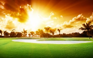 Картинка закат, поле для гольфа, пейзаж, sunset, облака, пальмы, деревья, palm trees, golf course, небо, sky, beautiful, landscape, grass, красиво, природа, clouds, трава, nature, trees