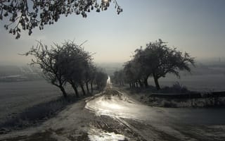 Обои туман, дорога, утро, пейзаж