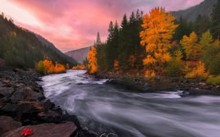 Картинка осень, скалы, камни, природа, краски, река, лес, поток