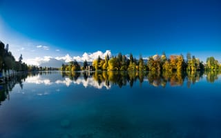 Картинка осень, вода, Canton of Bern, река Аре, отражение, Switzerland, река, Thun, деревья, Тун, River Aare, Швейцария