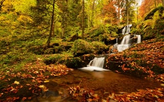 Картинка осень, лес, Нёвиллер-ла-Рош, деревья, Cascade de la Serva, Neuviller-la-Roche, Каскад де ла Серва, France, водопад, Франция, листья, Vosges Mountains, каскад