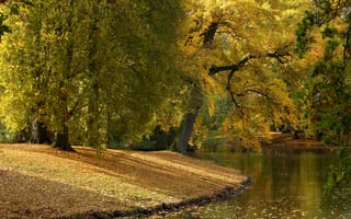 Картинка осень, листья, Georgengarten, Lower Saxony, Нижняя Саксония, Hannover, Георгенгартен, Leine River, Ганновер, река, Германия, река Лайне, деревья, Germany, парк