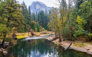 Картинка США, горы, ручей, кусты, Йосемити, камни, деревья, лес, Yosemite National Park, Калифорния, осень, скалы