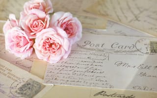 Обои розы, цветы, открытки, розовые, винтаж, письма