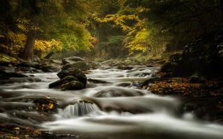 Картинка река, камни, осень, лес, Massachusetts, ручей, Bash Bish Brook