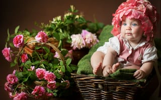Картинка Анна Леванкова, цветы, ребёнок, девочка, малыш, розы, дети, корзины