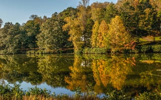 Картинка осень, солнце, деревья, Virginia, США, озеро, желтый, отражение