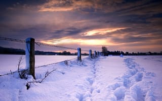Картинка следы, природа, зима, закат, забор, снег