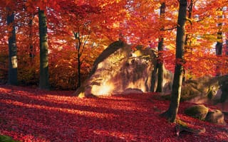 Картинка листья, осень, краски, деревья, камни, лес, солнечно