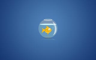 Картинка золотая рыбка, аквариум, пузыри, вода