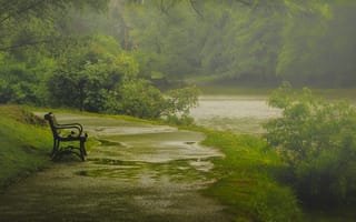 Картинка природа, Вашингтон парк, дождь, Май, Paul Jolicoeur Photography, Олбани, лавка, весна