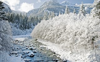 Картинка Природа, Зима, Горы, Деревья