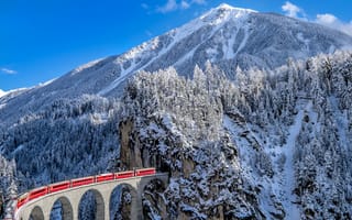 Картинка железная дорога, ели, снег, виадук Ландвассер, Альпы, зима, горы, Швейцария, кантон Граубюнден, поезд