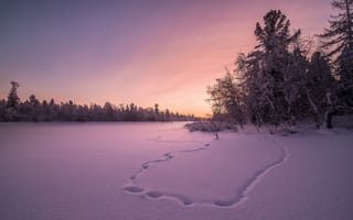Картинка закат, зима, снег, поле