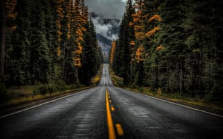 Картинка дорога, деревья, осень, Washington State, Highway 410, лес, штат Вашингтон
