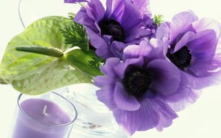 Картинка фиолетовые цветы, прозрачная ваза, белый фон, свеча