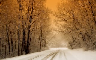 Обои снег, дорога, деревья