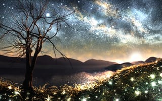 Картинка арт, светлячки, горизонт, космос, y-k, трава, звезды, млечный путь, природа, дерево